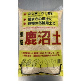 녹소토, SS size